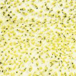 AMACO Crawls - CR-61 - Speckled Yellow - 1  pint